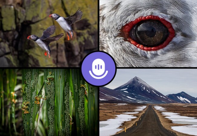 Celebrating Earth Day Everyday: A Twitter Space Show and Tell with Wildlife and Landscape Photographers