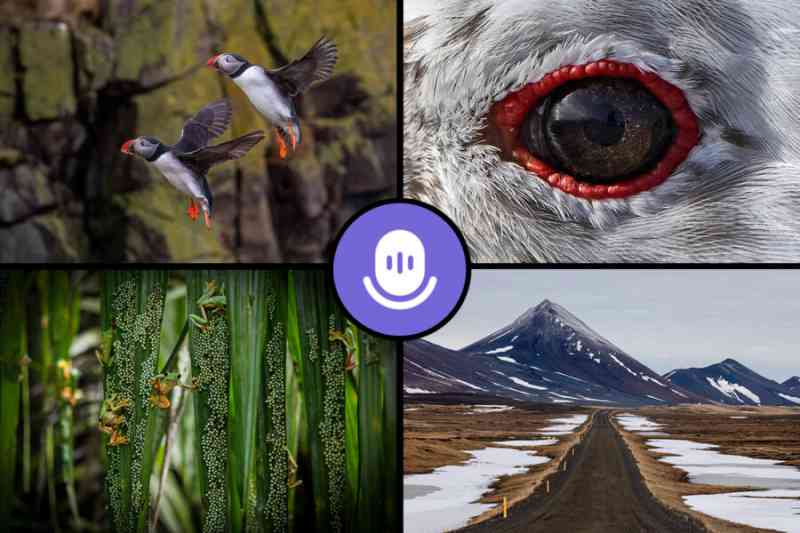 Celebrating Earth Day Everyday: A Twitter Space Show and Tell with Wildlife and Landscape Photographers