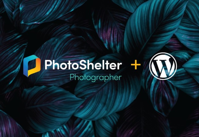 WordPress + PhotoShelter: Streamline Your Workflow