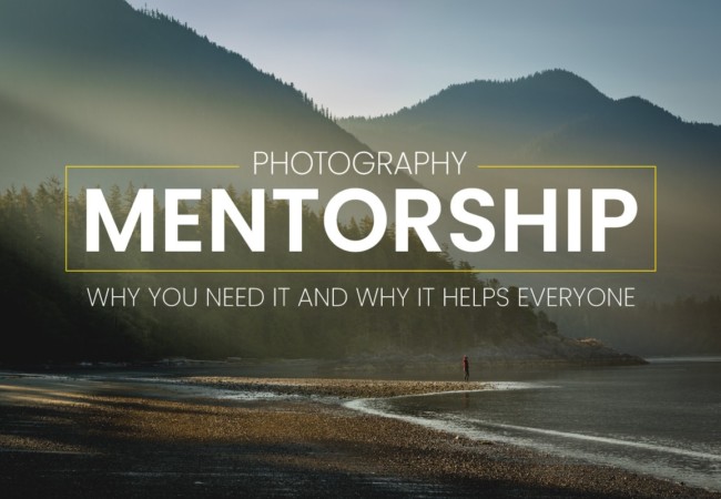 New Guide! Photography Mentorship: Why You Need it and Why it Helps Everyone